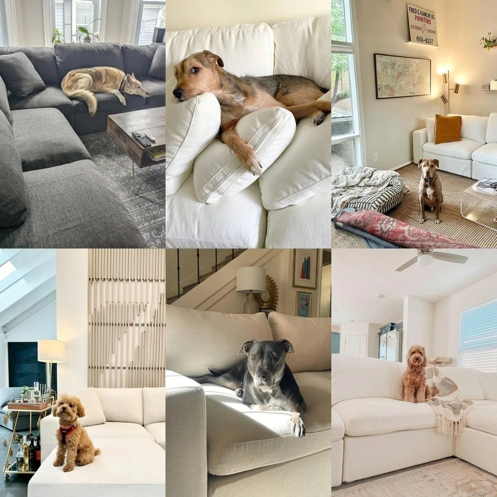 L Shape Flexible Combination Modular Compressed Cloud Sofa Custom Fabric Living Room Apartment Villa