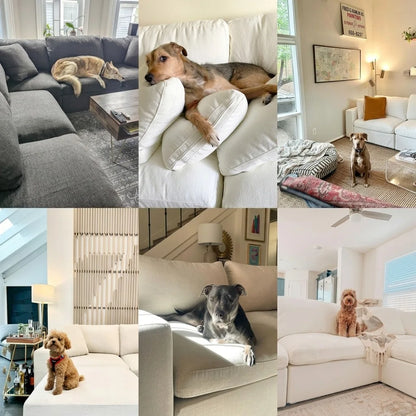 L Shape Flexible Combination Modular Compressed Cloud Sofa Custom Fabric Living Room Apartment Villa