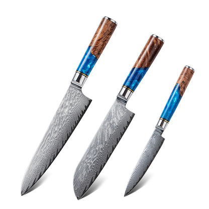 Damascus Steel High Carbon 67 Layer VG10 Chef's Knife Blue Resin Wood Handle Kitchen Chef's Knife Three-Piece Set
