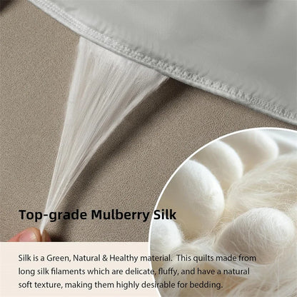 Silk Blanket with 100% Mulberry Silk Filled Summer Air Condition Throw Blanket Lightweight and Ultra Soft Thin Summer Comforter