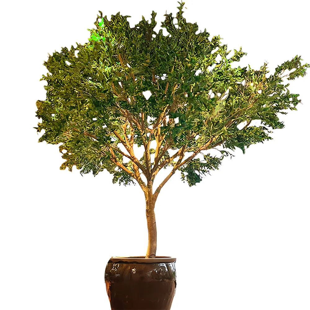 Large Floor-Standing Fiberglass Artificial Olive Tree Bionic Green Plant for Window Landscaping Indoor Outdoor Decor