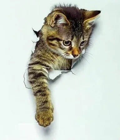 3D Cute Cat Self-adhesive Removable Wallpaper for Children's Living Room Bedroom Background Wall Bathroom Sticker