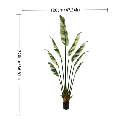 Live Natural Artificial Bird of Paradise Plant Bonsai Banana Tree Fake Leaf Trunk Indoor Outdoor Hotels Decor Greenery