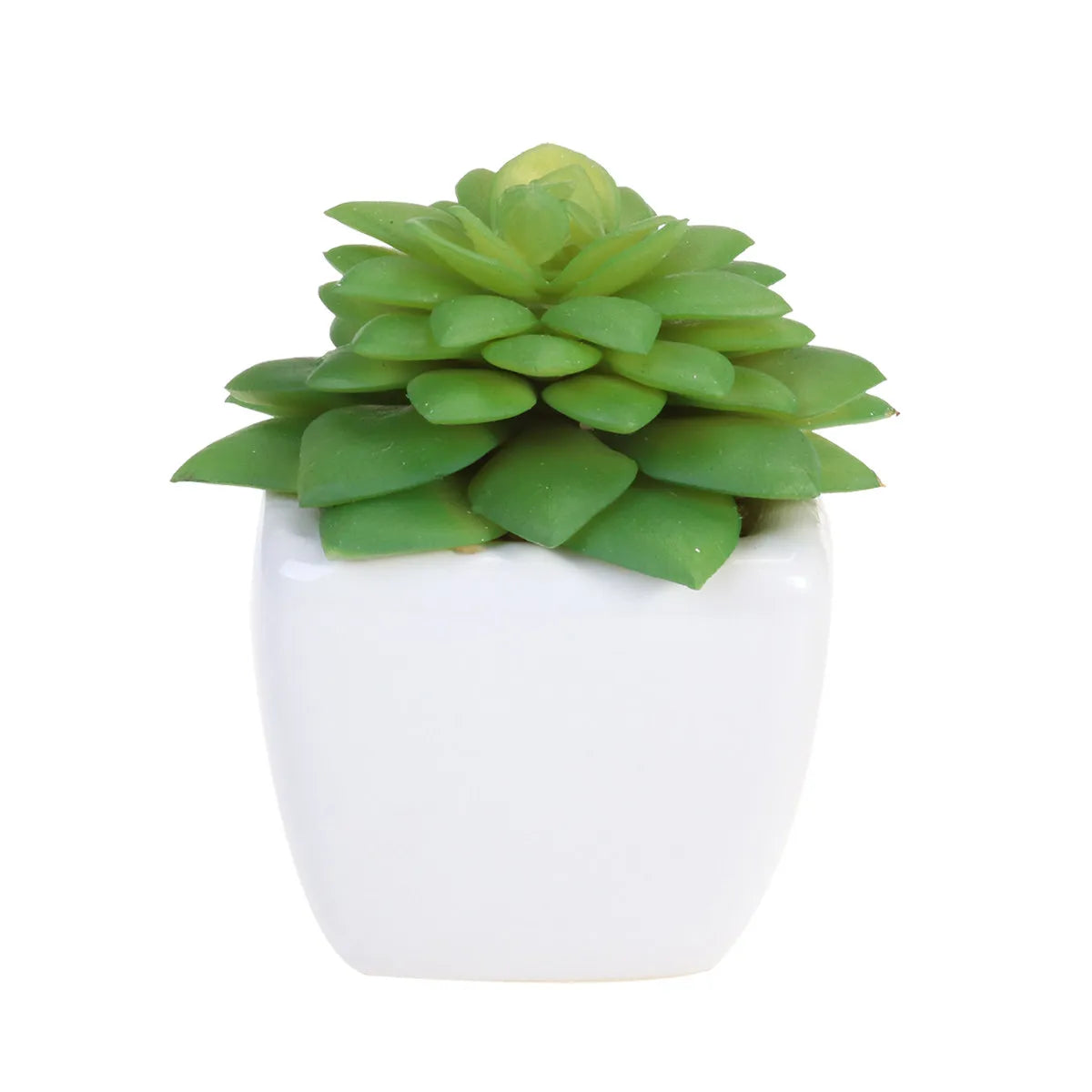 Realistic Natural Green Artificial Succulent Plants Potted in Modern for Home Balcony Office Garden Indoor Outdoor