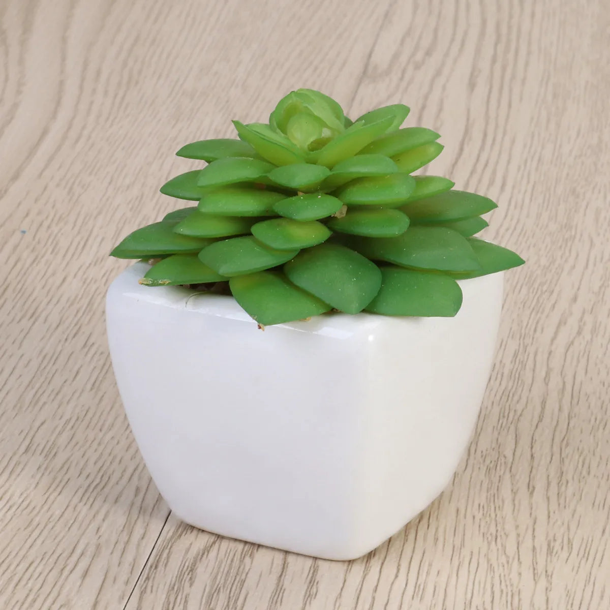 Realistic Natural Green Artificial Succulent Plants Potted in Modern for Home Balcony Office Garden Indoor Outdoor