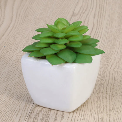 Realistic Natural Green Artificial Succulent Plants Potted in Modern for Home Balcony Office Garden Indoor Outdoor