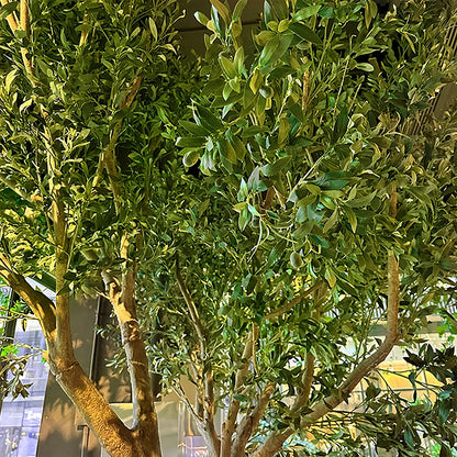 Large Floor-Standing Fiberglass Artificial Olive Tree Bionic Green Plant for Window Landscaping Indoor Outdoor Decor