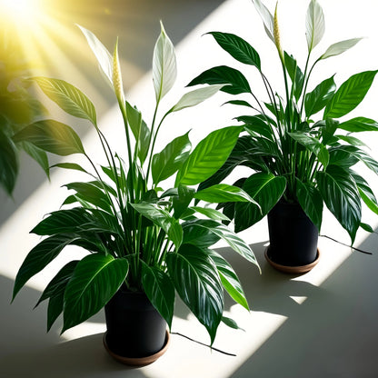 1/2pcs Large Artificial Plant and Flower set Realistic Indoor/Outdoor Fake with Foliage - All- Wedding/Residential Decor