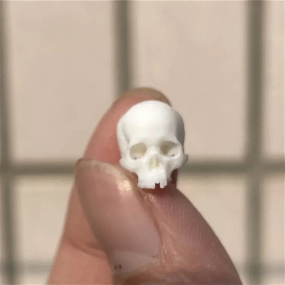 Creepy Mini Skull Figurines - High Quality Halloween Decor for Dollhouse, Fish Tank & Plant Displays!