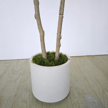 180Cm/5.9Ft Double Trunk Artificial Birch Oak Tree Potted Realistic Faux Plant for Home Office Indoor Outdoor Living Room Decor