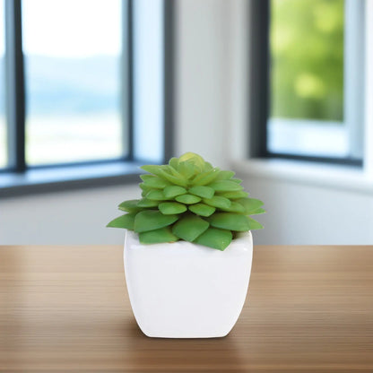 Realistic Natural Green Artificial Succulent Plants Potted in Modern for Home Balcony Office Garden Indoor Outdoor