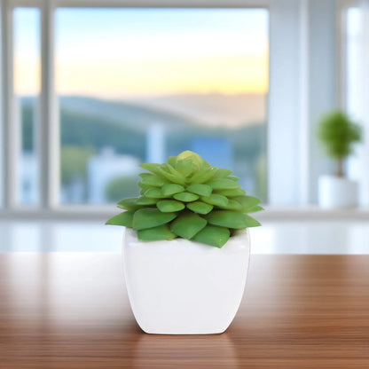 Realistic Natural Green Artificial Succulent Plants Potted in Modern for Home Balcony Office Garden Indoor Outdoor